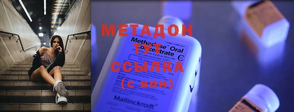 прущие грибы Санкт-Петербург
