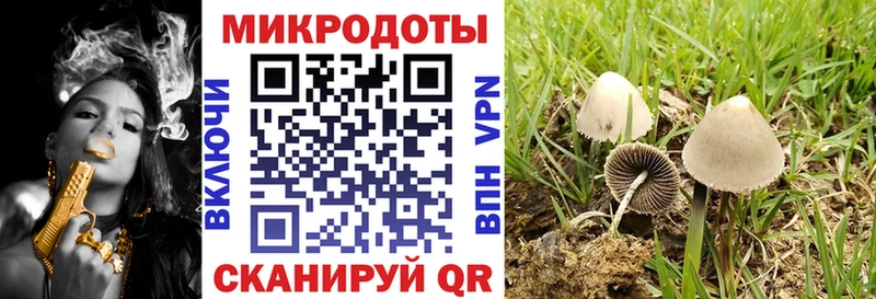 Псилоцибиновые грибы GOLDEN TEACHER  Мостовской 